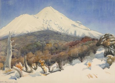 Mount Egmont von D. K. Richmond